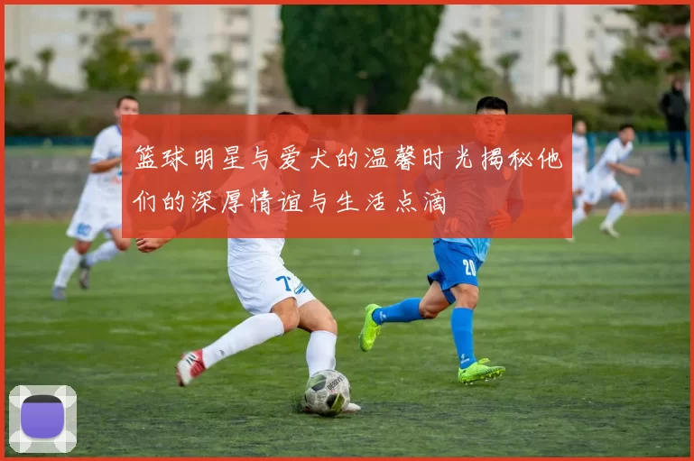 篮球明星与爱犬的温馨时光揭秘他们的深厚情谊与生活点滴
