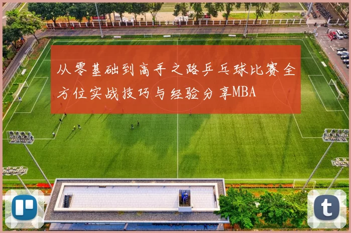 从零基础到高手之路乒乓球比赛全方位实战技巧与经验分享MBA