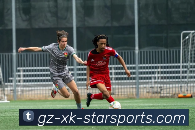 星空体育入口发展历程