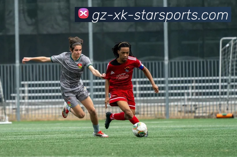 App Interface Preview