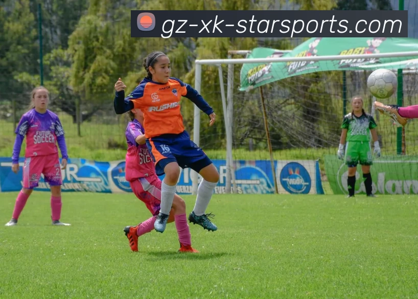 星空体育入口APP 封面图